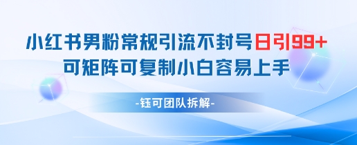 小红书男粉常规引流不封号日引99+变现简单 可矩阵可复制小白容易上手牛牛资源网-专注分享网络创业项目落地实操课程 – 全网首发_高质量创业项目输出牛牛资源网