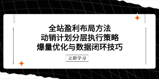 全站盈利布局方法：动销计划分层执行策略，爆量优化与数据闭环技巧牛牛资源网-专注分享网络创业项目落地实操课程 – 全网首发_高质量创业项目输出牛牛资源网