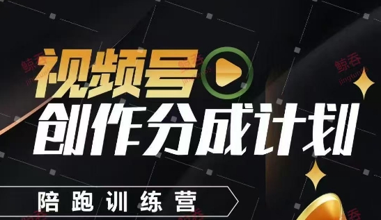 视频号创作分成计划陪跑训练营，手把手教会你如何制作视频，细水长流型项目牛牛资源网-专注分享网络创业项目落地实操课程 – 全网首发_高质量创业项目输出牛牛资源网