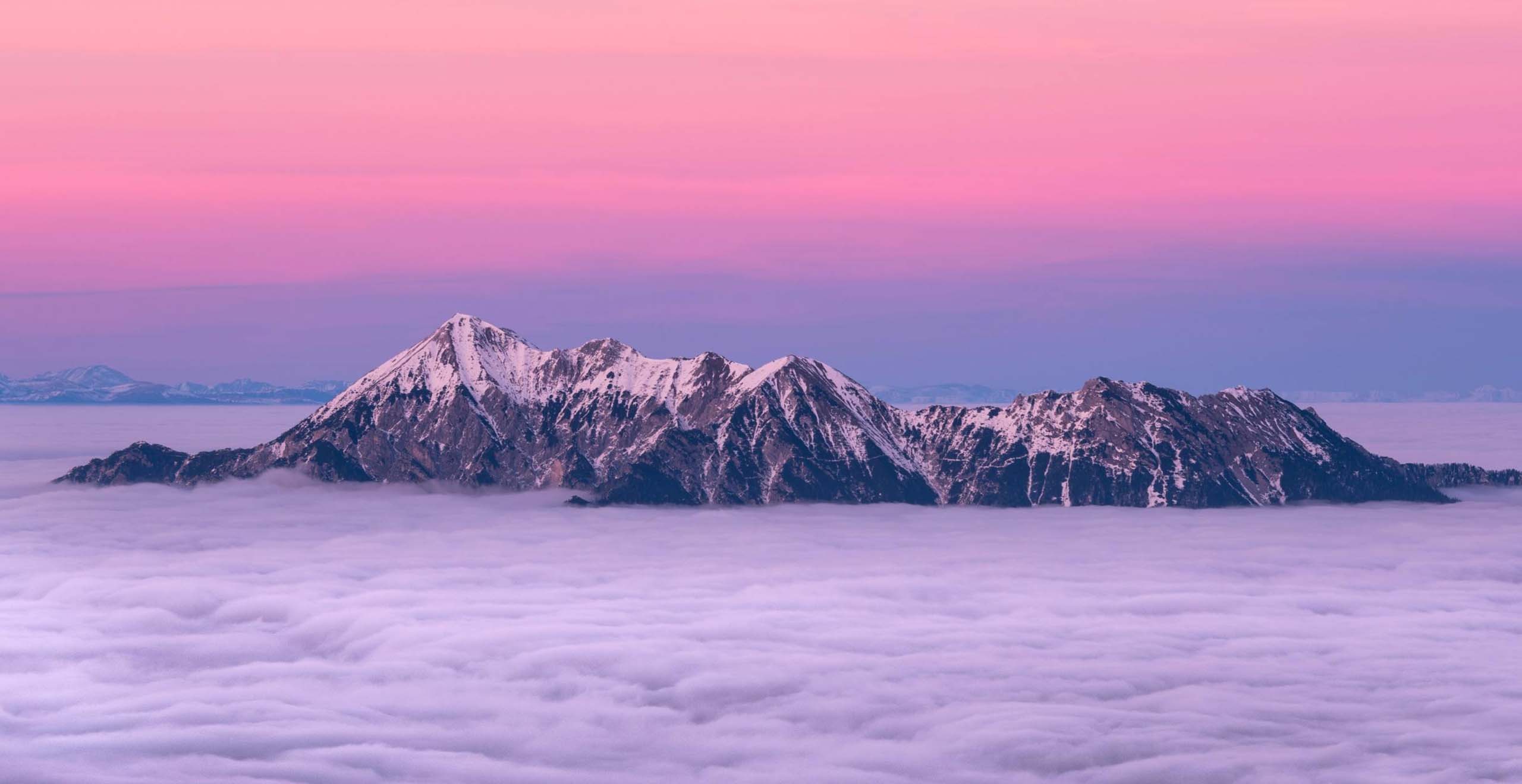 牛牛资源网-专注分享网络创业项目落地实操课程 – 全网首发_高质量创业项目输出